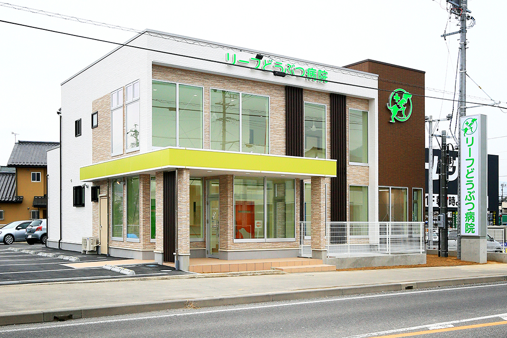 リーフ動物病院 新築工事