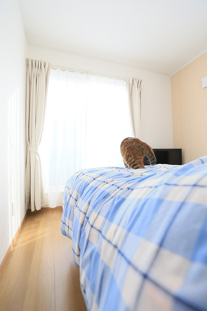 千曲市杭瀬下 U様 室内