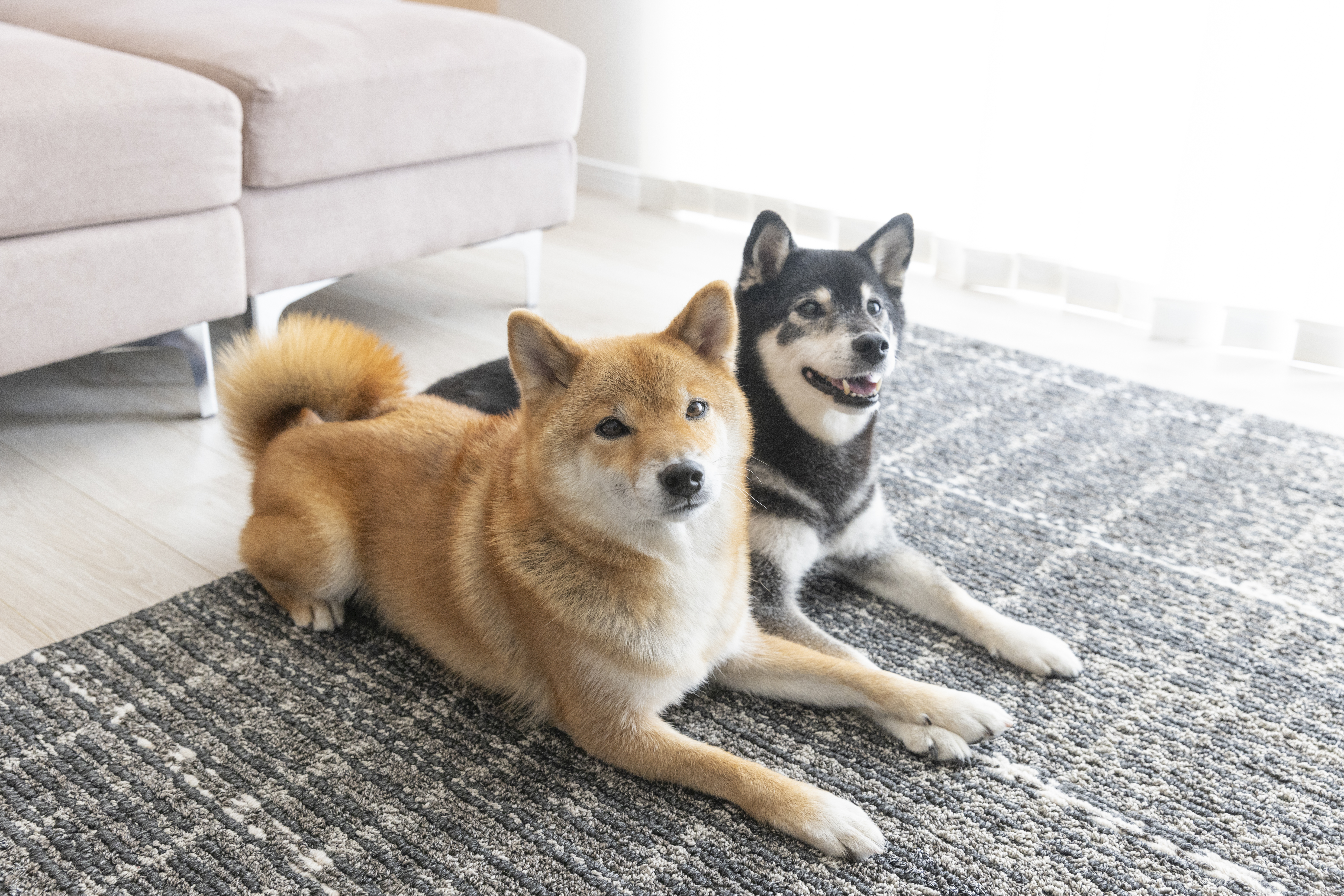 断熱性能に優れた家づくり